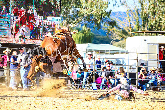 TumutRodeo2017_2313