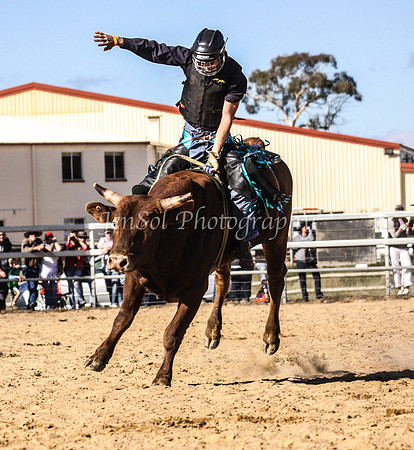 IMG_0582Jindy