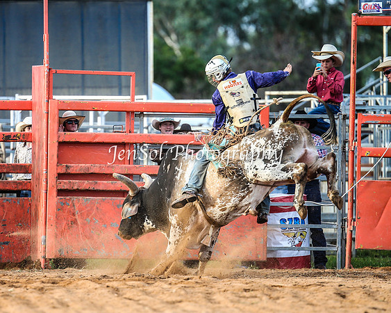 ForbesRodeo2014_2512