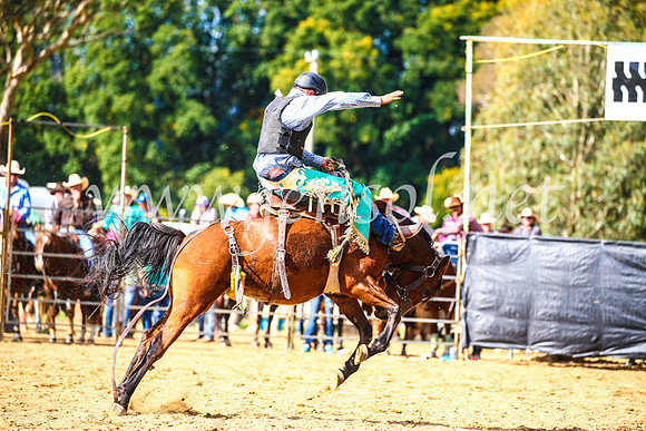 TumutRodeo2017_1694
