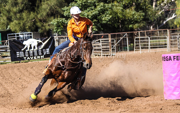 Dubbo2 417