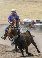 AdaminabyCampdraftSun2015_3094
