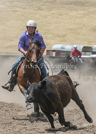 AdaminabyCampdraftSun2015_3094