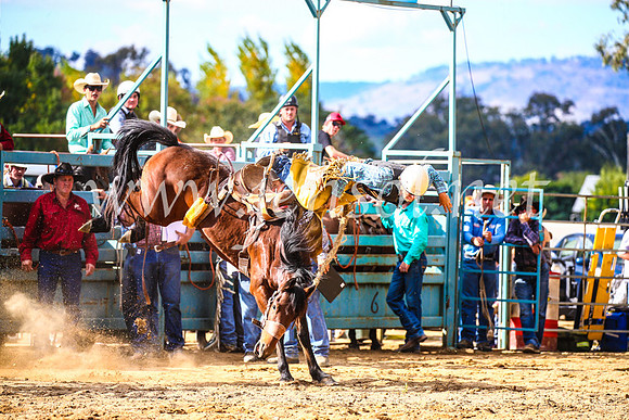TumutRodeo2017_1631