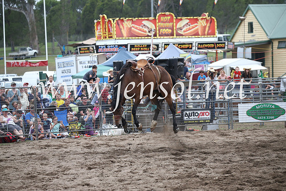 MoruyaRodeo2017_7406