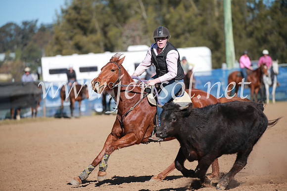 CCCampdraft2016_6226