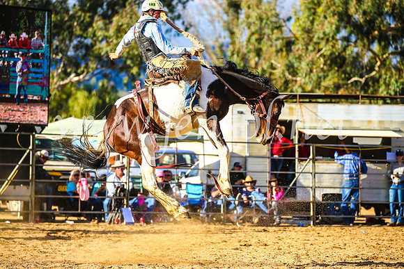 TumutRodeo2017_2563