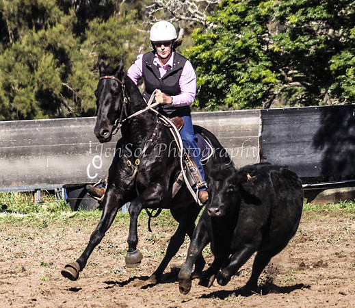 IMG_0308Jugiong1