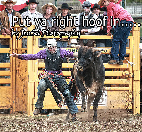 FBBull_1239