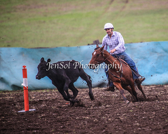 CabanandraCampdraft2014_1291-1