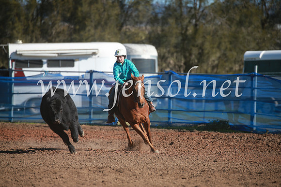CCCampdraft2016_6156