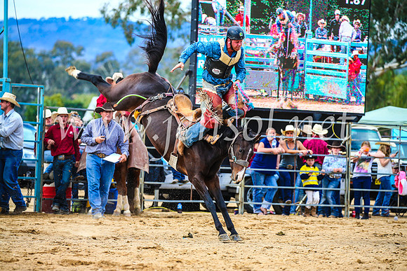 TumutRodeo2017_2257