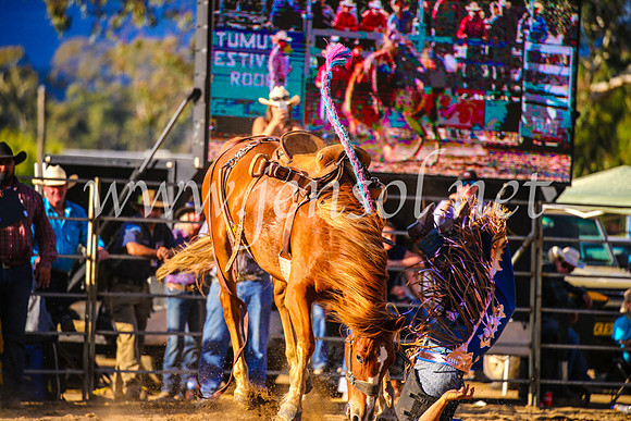 TumutRodeo2017_2637