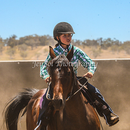 AdaminabyCampdraft2015_0410