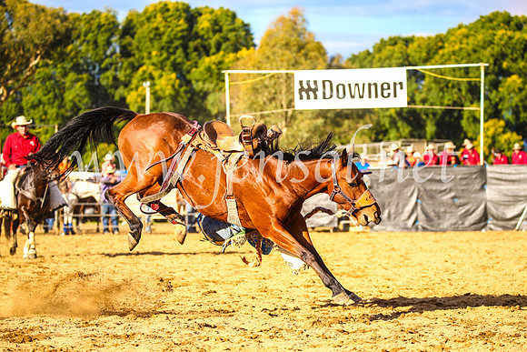 TumutRodeo2017_2608