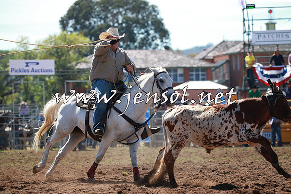 QueanbeyanRodeo2016_4137