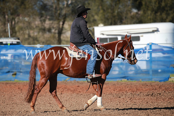 CCCampdraft2016_5094