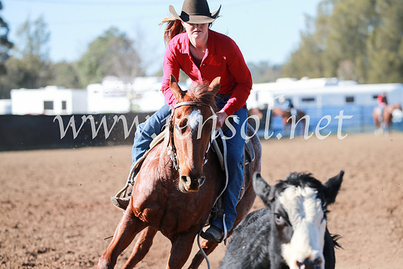 CCCampdraft2016_5243