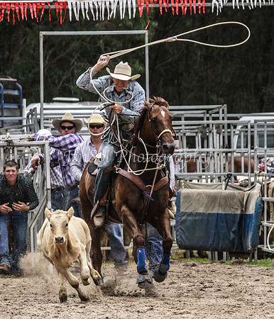 Picton1JS_0222