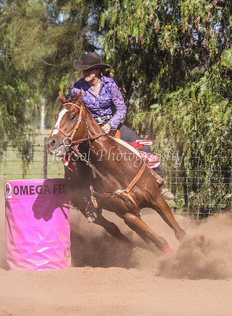 Dubbo2 377