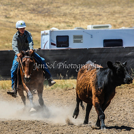 AdaminabyCampdraft2015_0346