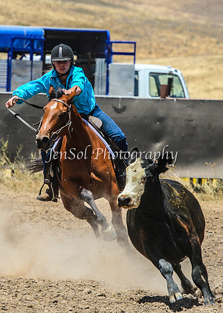 AdaminabyCampdraftSun2015_3187