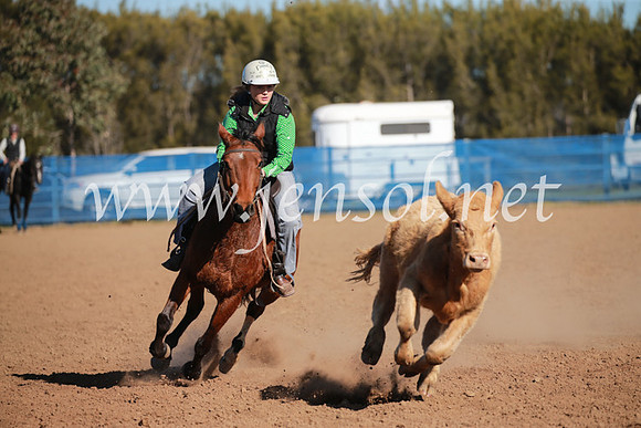 CCCampdraft2016_6238