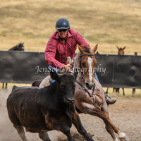 AdaminabyCampdraftSun2015_3518