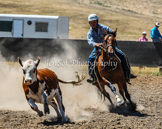 AdaminabyCampdraft2015_0262