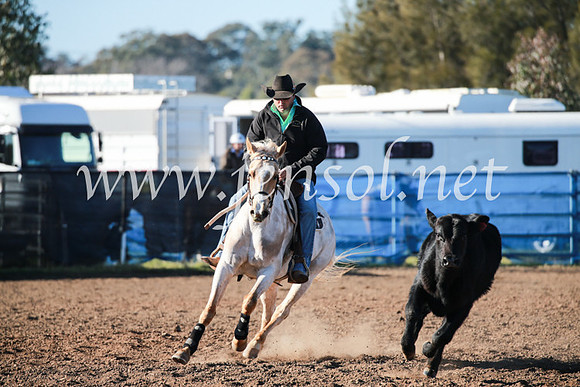 CCCampdraft2016_5050