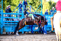 TumutRodeo2017_2971