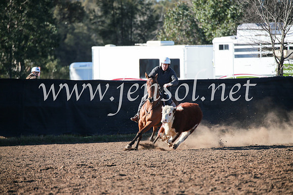CCCampdraft2016_5085