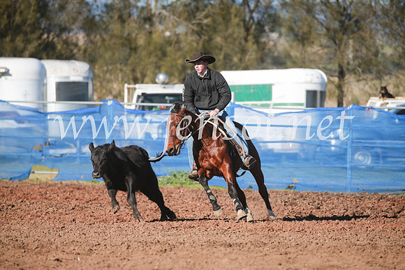 CCCampdraft2016_5020