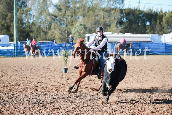 CCCampdraft2016_5109