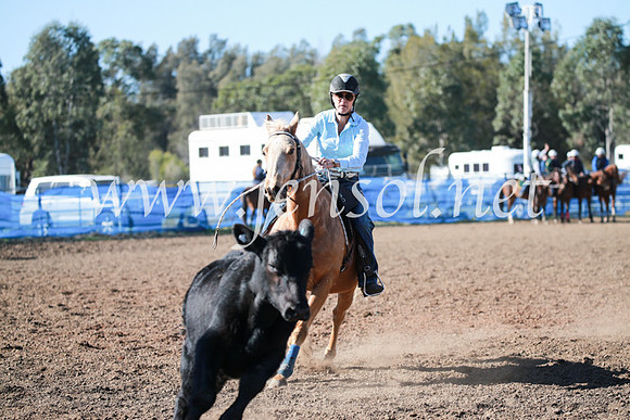 CCCampdraft2016_5259