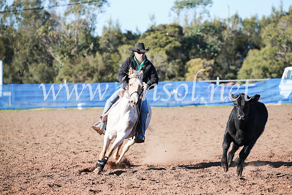 CCCampdraft2016_5038