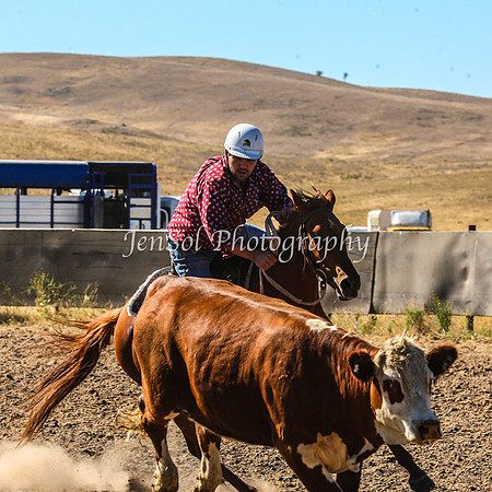 AdaminabyCampdraft2015_0091