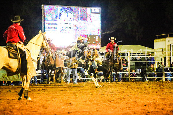 TumutRodeo2017_4642