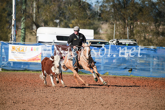 CCCampdraft2016_5060