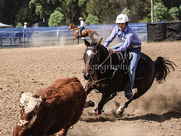 IMG_0428CCCSun