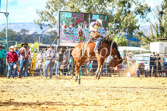 TumutRodeo2017_1763