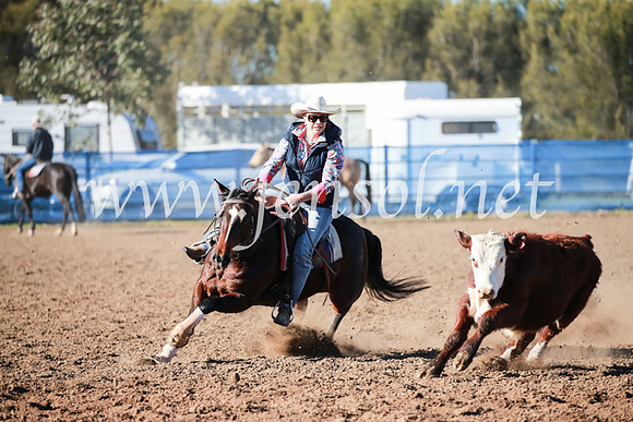 CCCampdraft2016_5103