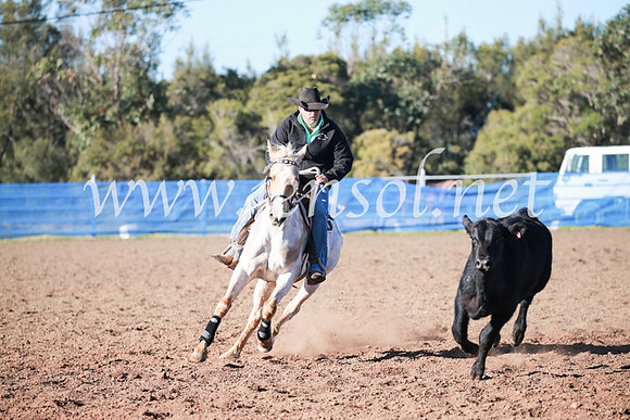 CCCampdraft2016_5044