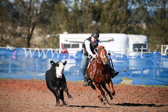CCCampdraft2016_5114