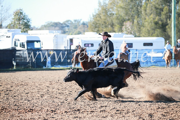 CCCampdraft2016_5015