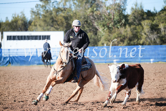 CCCampdraft2016_5052