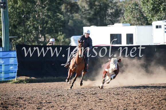 CCCampdraft2016_5087