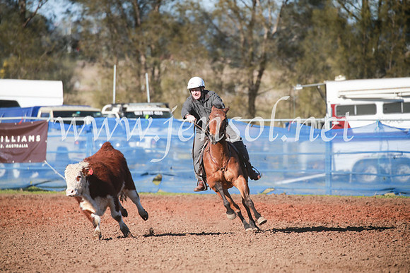 CCCampdraft2016_5080