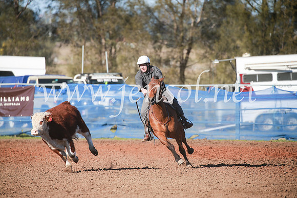 CCCampdraft2016_5079