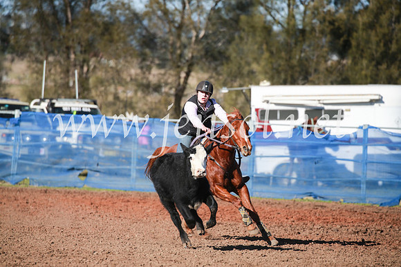CCCampdraft2016_5121